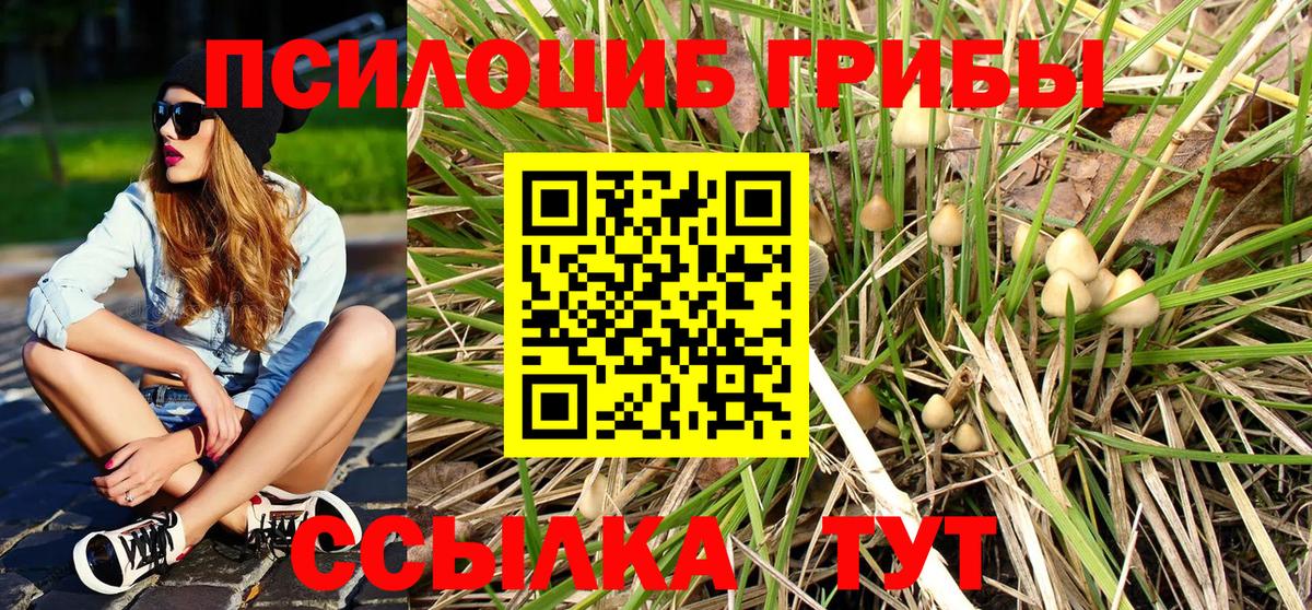 Нижневартовск  Псилоцибиновые грибы Psilocybe  Вход с VPN  Галлюциногенные грибы мухоморы 