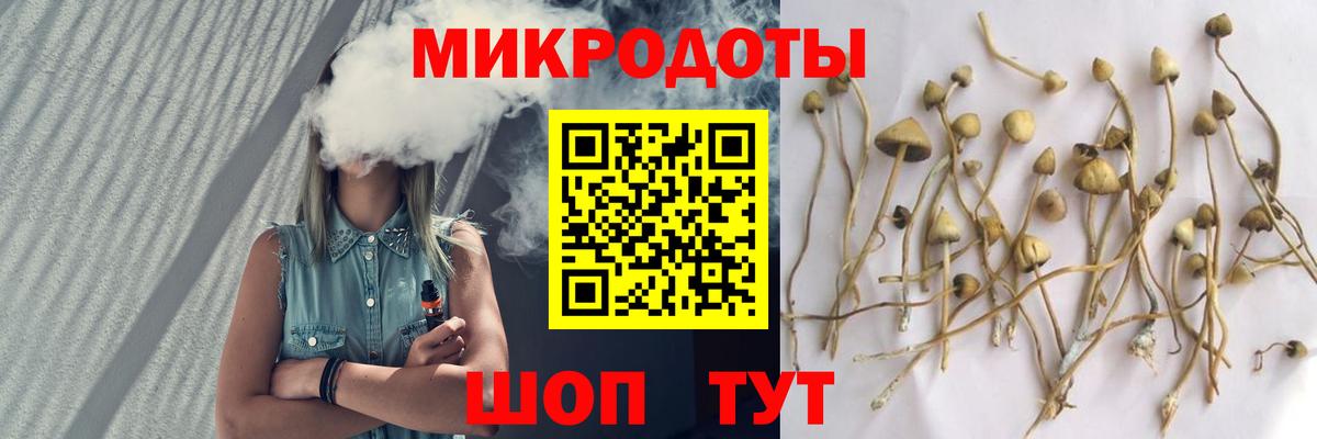 Псилоцибиновые грибы Magic Shrooms Нижневартовск